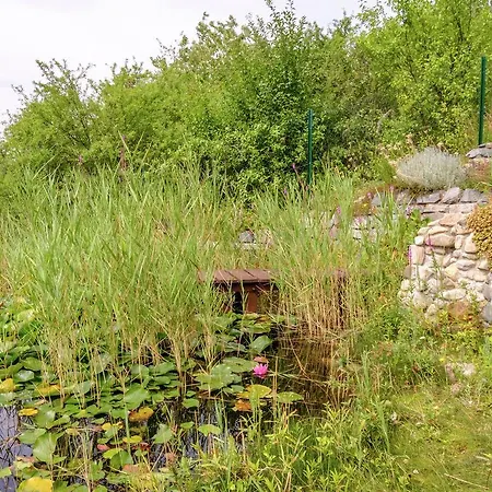 Luxurious Holiday In Gernrode Harz Near Lake Feriehus