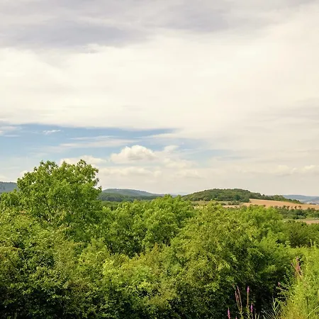 Luxurious Holiday In Gernrode Harz Near Lake *